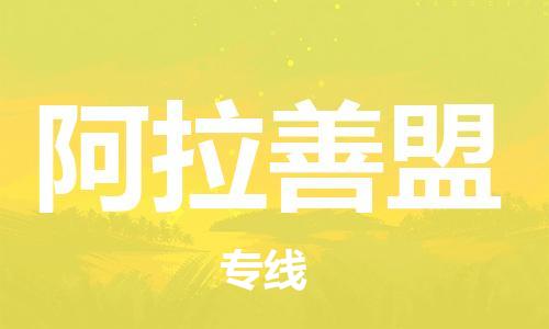 启东市到阿拉善盟物流专线-快速送货-启东市至阿拉善盟物流专线