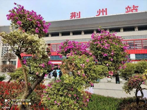 张家港到荆州物流公司|张家港到荆州物流专线-物流运输